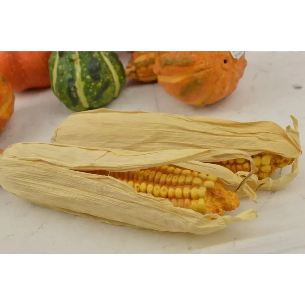 Pier 1 Fall Halloween Decor Lot Pumpkins Gourds Corn Witch Doll Autumn Harvest